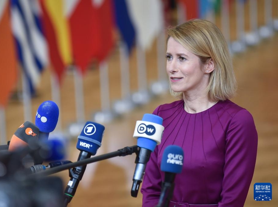  欧盟外长：“和平委员会”应受限于安理会决议